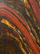 Polished Tiger Iron Stromatolite - ( Billion Years) #62773-1